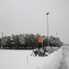 la grande nevicata del febbraio 2012 026